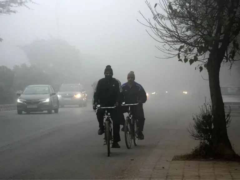 North India Suffers From Cold: 30 Planes Delayed Owing To Severe Fog In Delhi