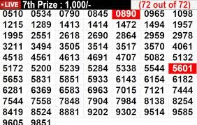 "Summer Bumper Kerala Lottery Results 2025 - ₹10 Crore Winner Announced"