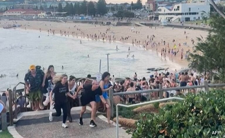 Bondi Beach Terror Attack: Father-Son Duo Identified as Shooters; Australia Mulls Tougher Gun Laws Bondi Beach Terror Attack: Father-Son Duo Identified as Shooters; Australia Mulls Tougher Gun Laws