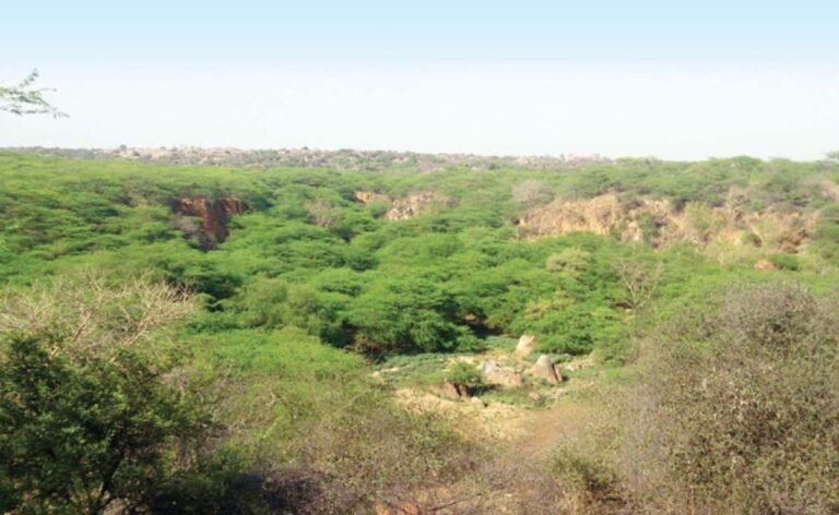 Over 90% of Aravalli Region Will Remain Protected, Centre Says; Mining Fears Rejected