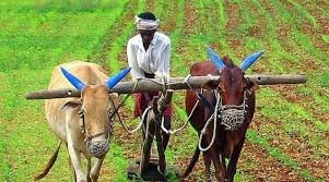 https://www.newsclick.in/aikscc-launches-kisan-ki-loot-campaign-against-modis-betrayal-farmers